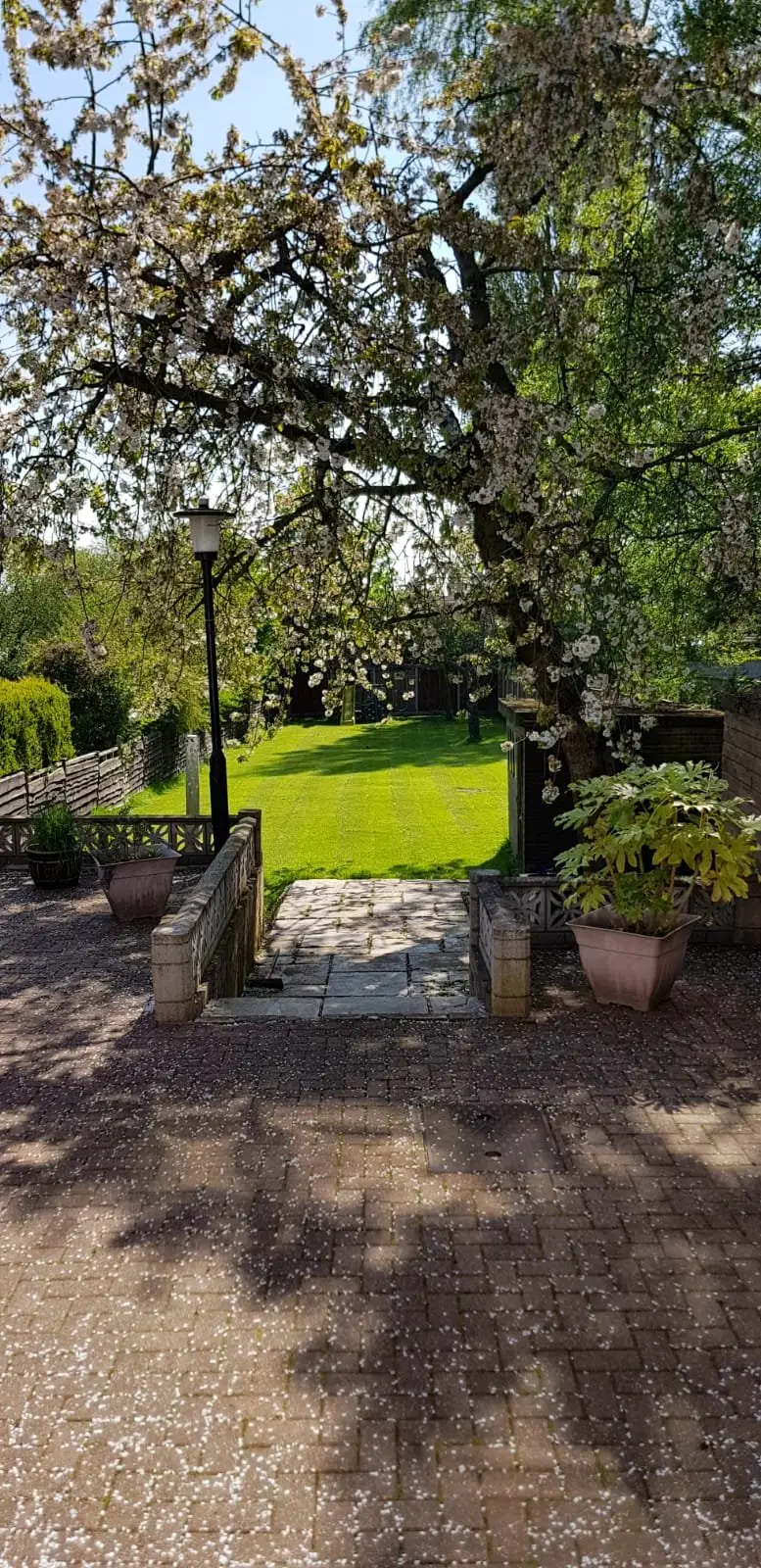 Rear garden with slate patio, gabion walls, and timber screening