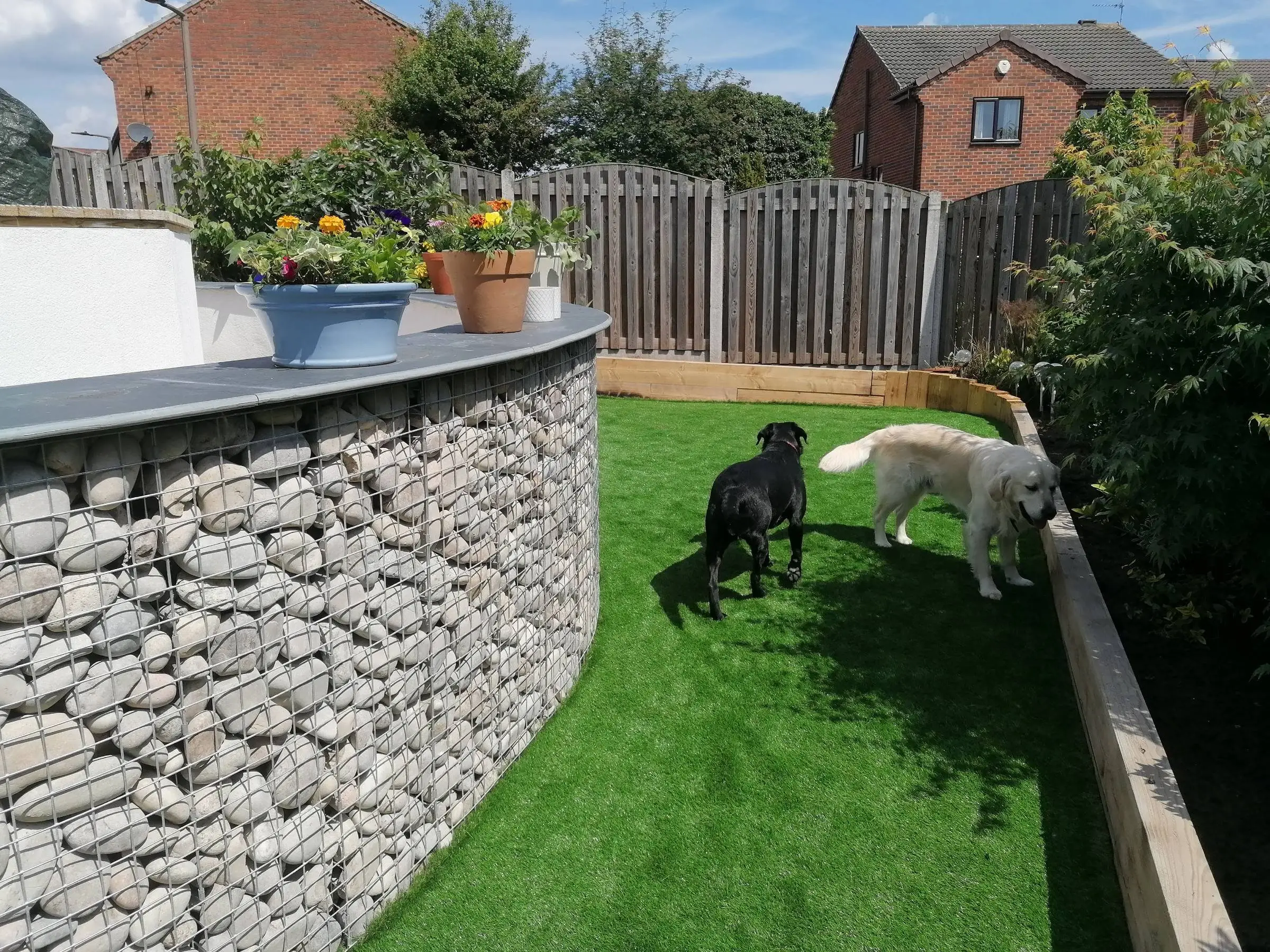Cantley garden redesigned with gabion walls and large patio